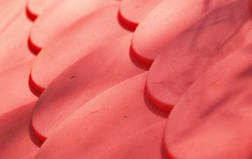 Pengegon plastic roof costs